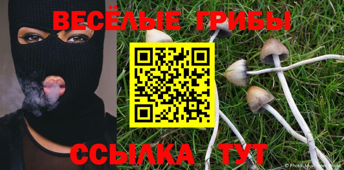 Псилоцибиновые грибы мицелий Кириши
